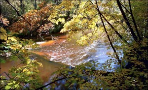 Мещерский лес, река, водопад